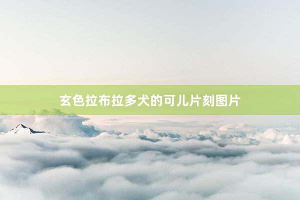 玄色拉布拉多犬的可儿片刻图片
