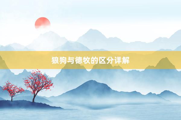 狼狗与德牧的区分详解