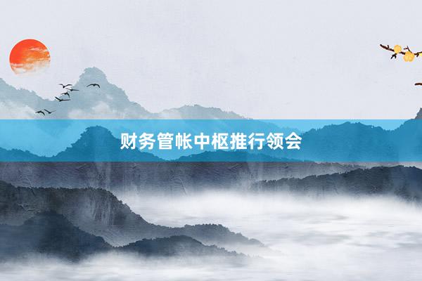 财务管帐中枢推行领会